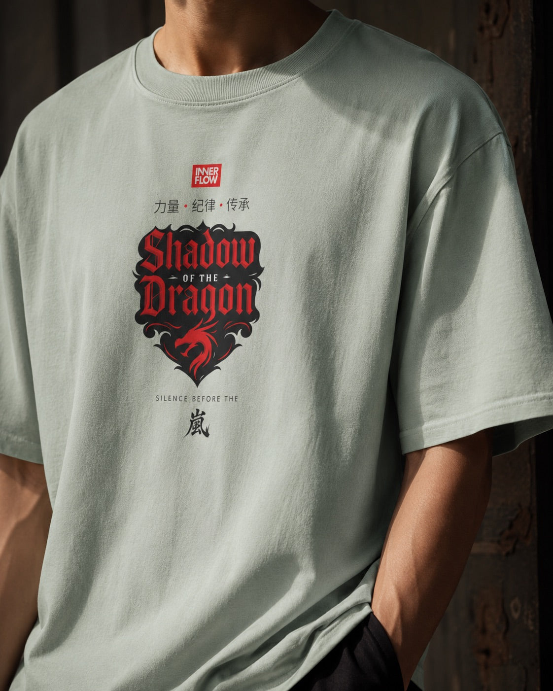 Shadow of the Dragon T-shirt | Samurai Dragon Graphic Tee