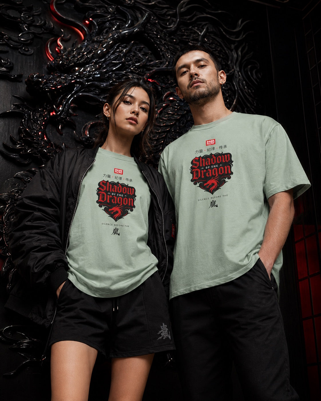 Shadow of the Dragon T-shirt | Samurai Dragon Graphic Tee